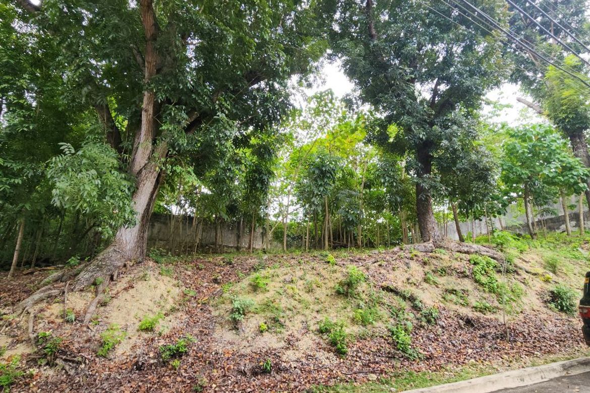 Land for Sale in Cabancalan, Mandaue, Cebu – photo 3