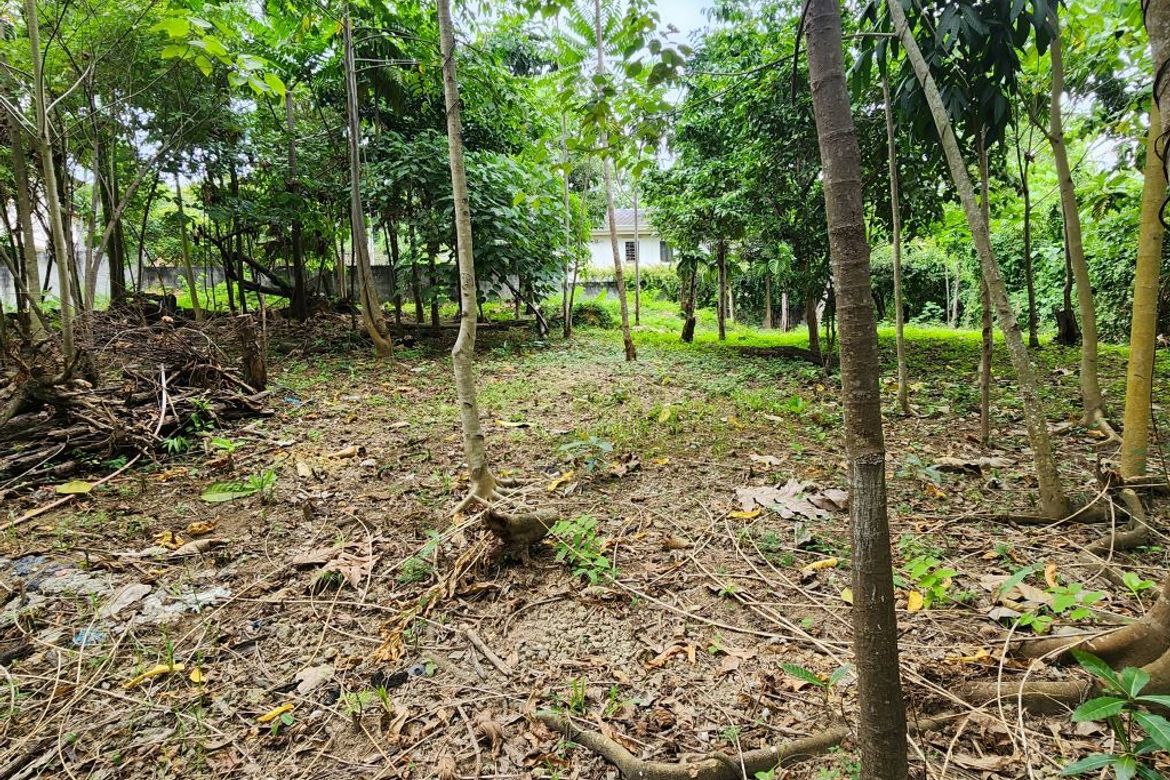 Land for Sale in Cabancalan, Mandaue, Cebu – photo 3