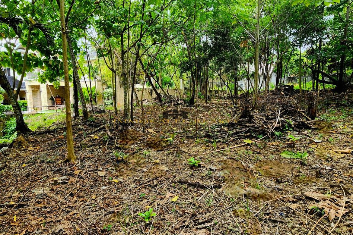 Land for Sale in Cabancalan, Mandaue, Cebu