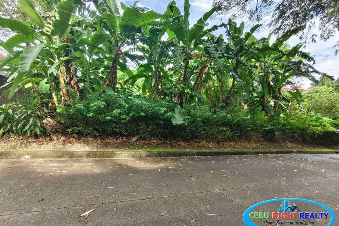 Land for Sale in Cabancalan, Mandaue, Cebu – photo 3