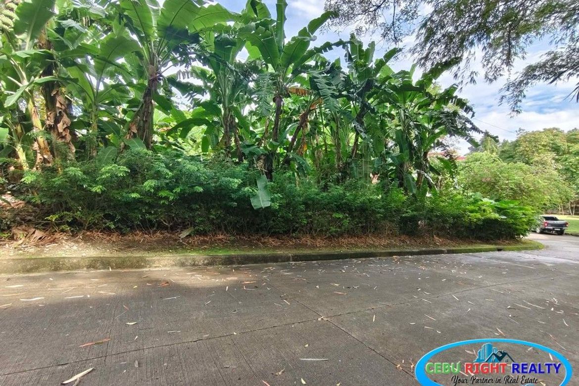 Land for Sale in Cabancalan, Mandaue, Cebu – photo 4