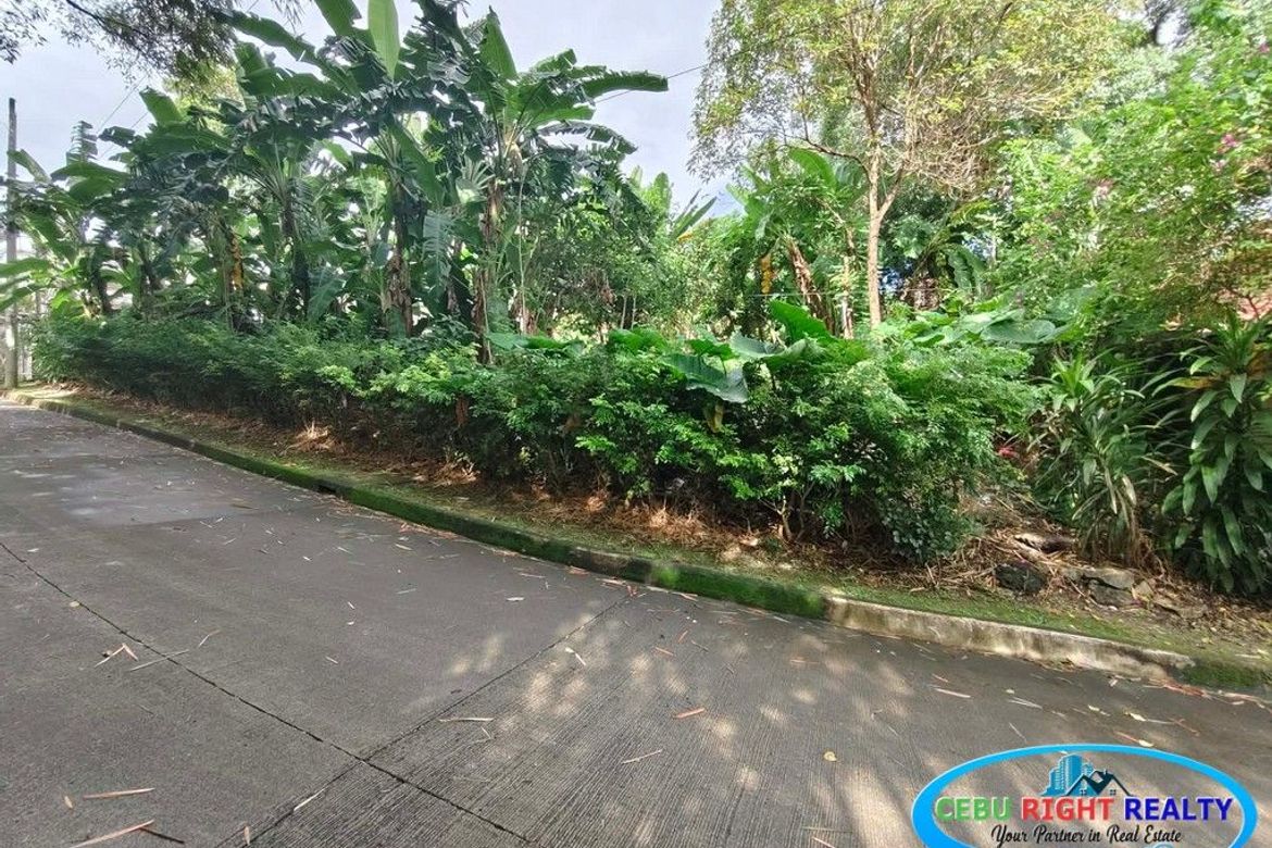 Land for Sale in Cabancalan, Mandaue, Cebu – photo 6