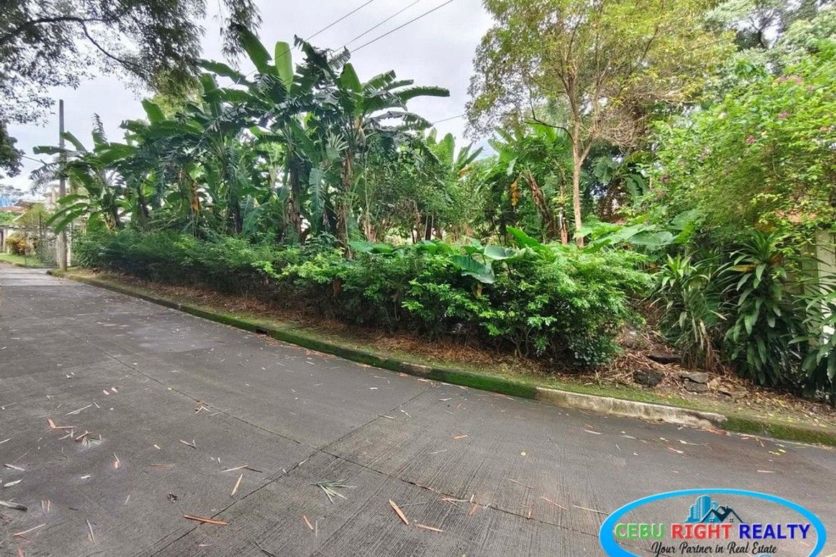 Land for Sale in Cabancalan, Mandaue, Cebu – photo 7