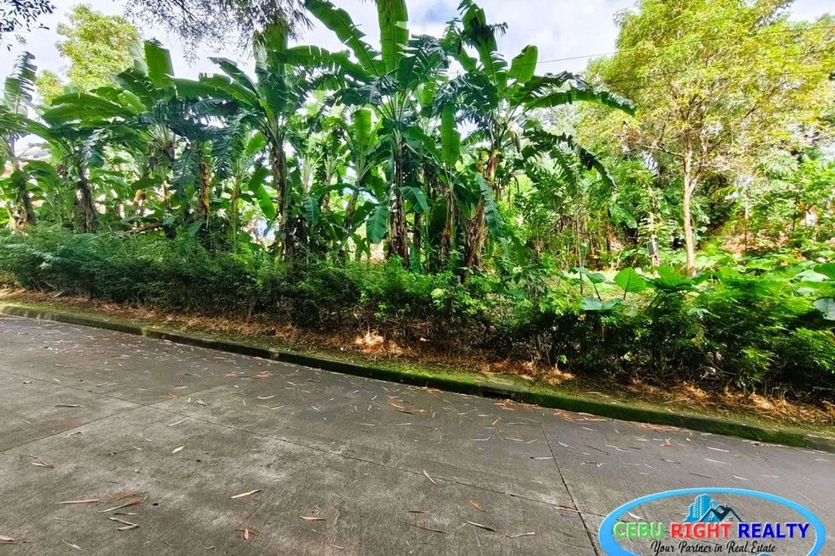 Land for Sale in Cabancalan, Mandaue, Cebu – photo 8