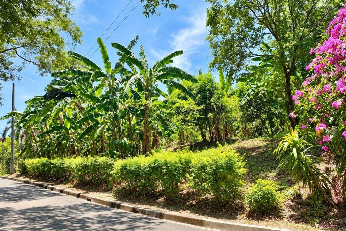 Land for Sale in Cabancalan, Mandaue, Cebu