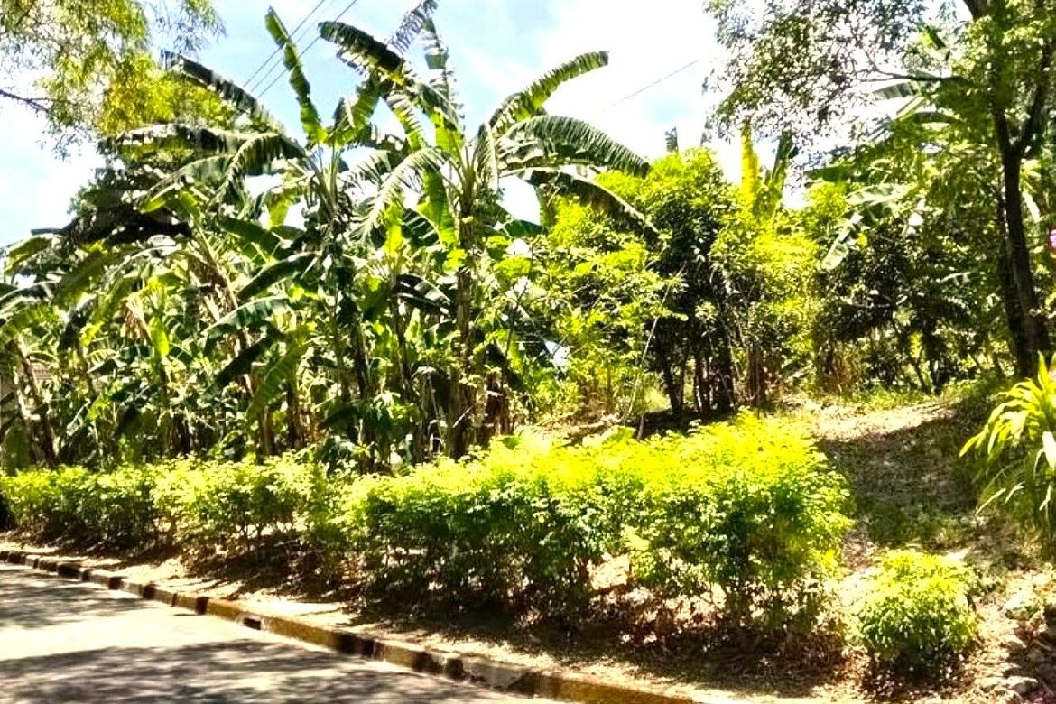 Land for Sale in Cabancalan, Mandaue, Cebu – photo 2