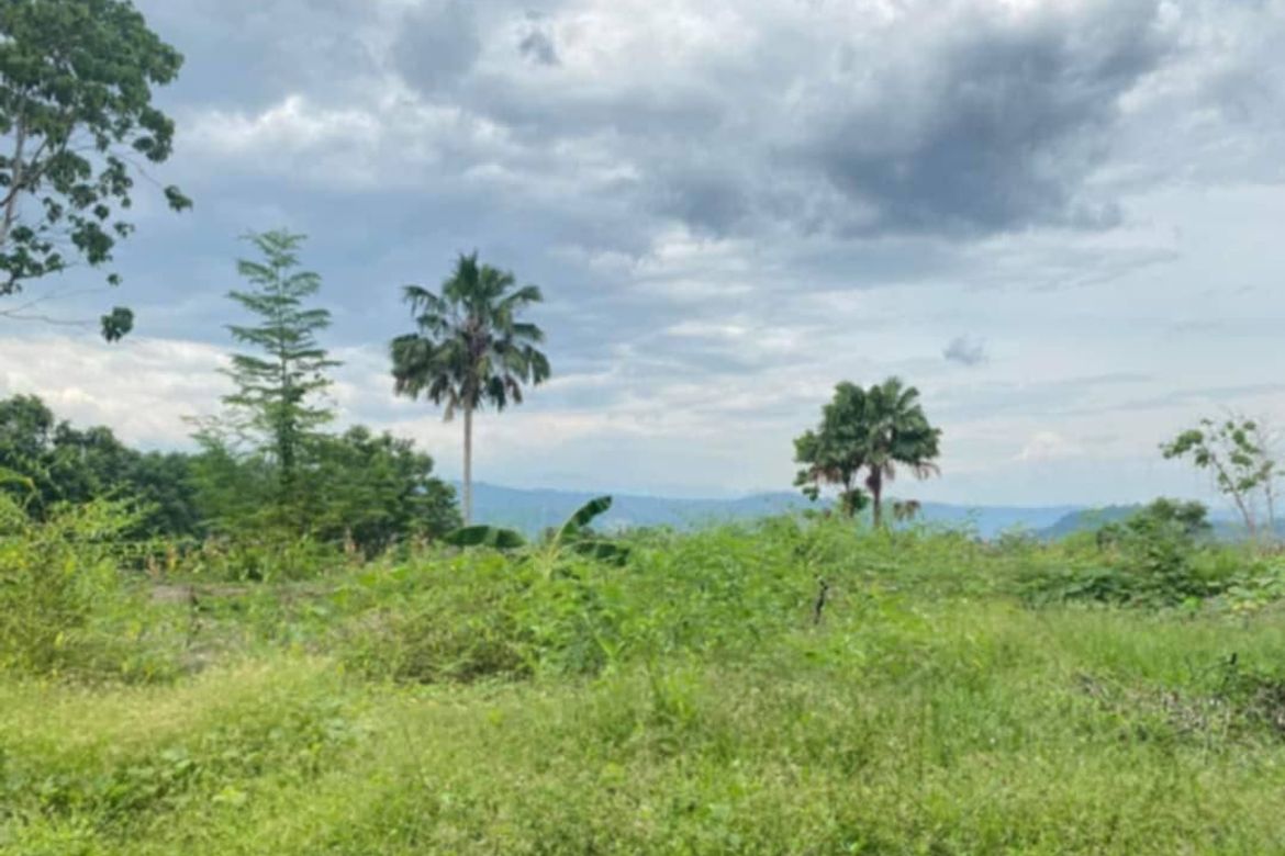 Land for Sale in Cabantian, Davao City, Davao del Sur – photo 4