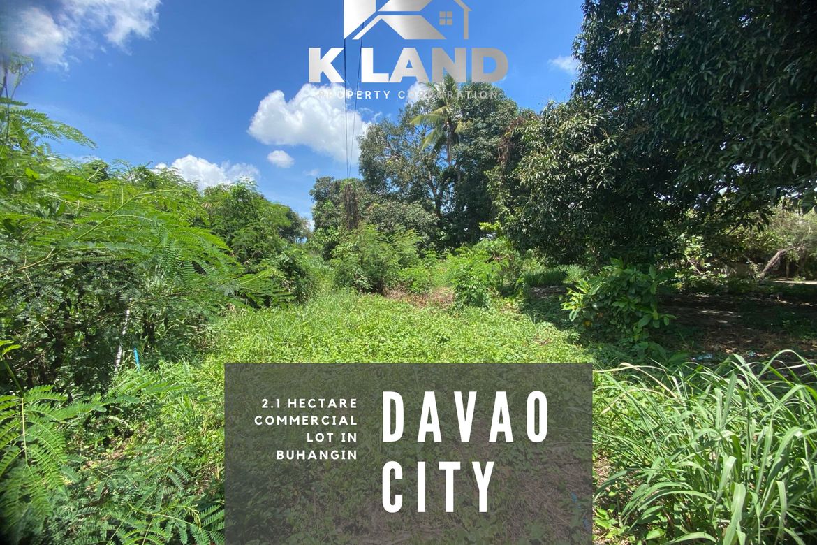 Land for Sale in Cabantian, Davao City, Davao del Sur – photo 2