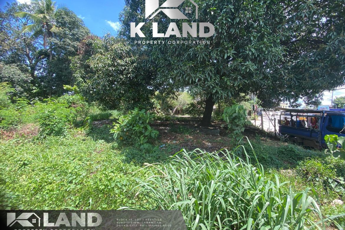 Land for Sale in Cabantian, Davao City, Davao del Sur – photo 4