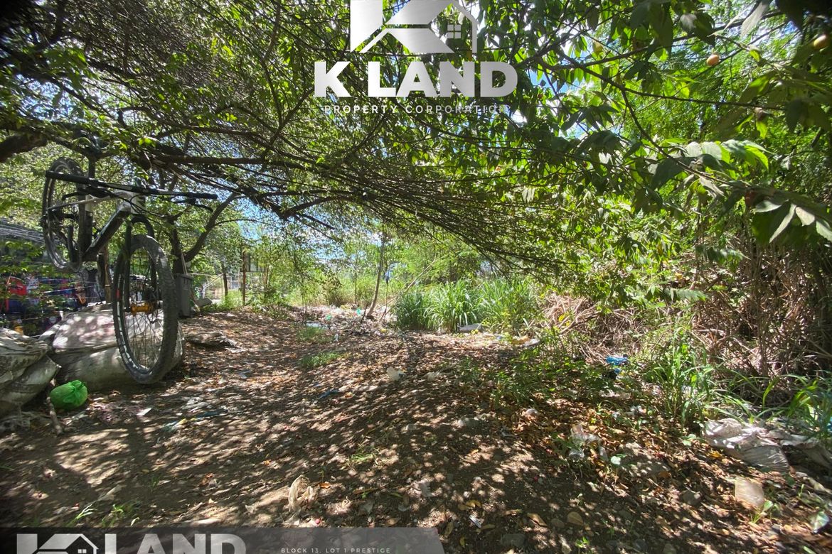Land for Sale in Cabantian, Davao City, Davao del Sur – photo 5