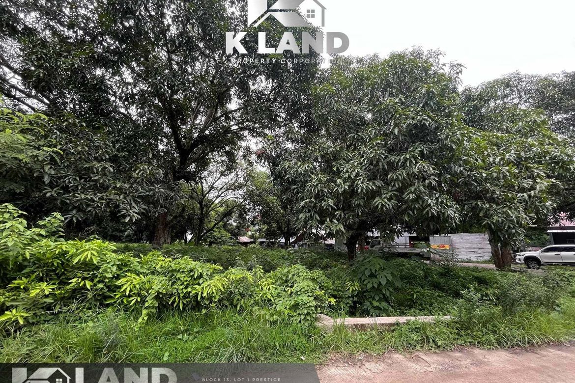Land for Sale in Cabantian, Davao City, Davao del Sur – photo 3