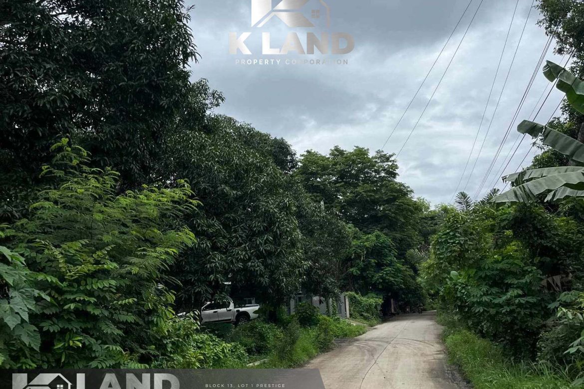 Land for Sale in Cabantian, Davao City, Davao del Sur – photo 5