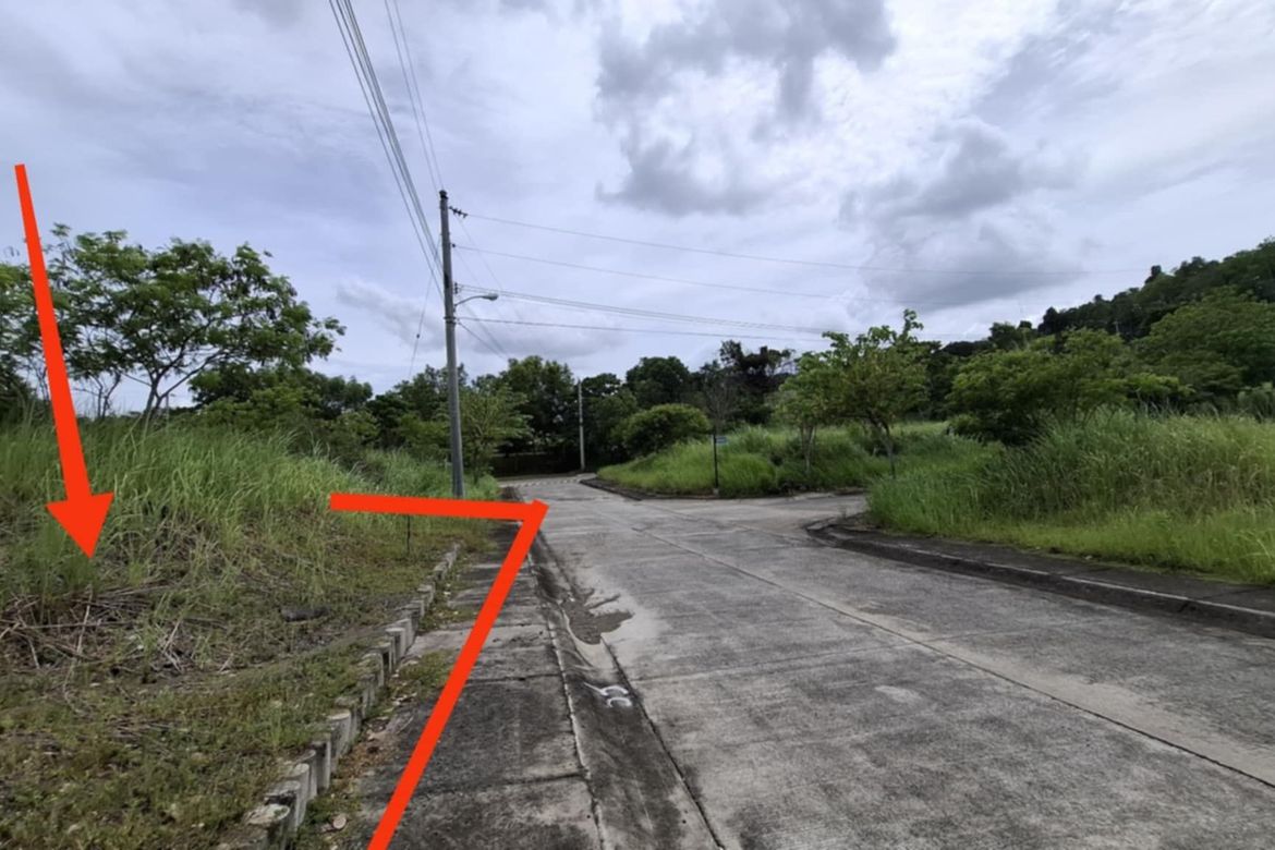 Land for Sale in Cabantian, Davao City, Davao del Sur – photo 3