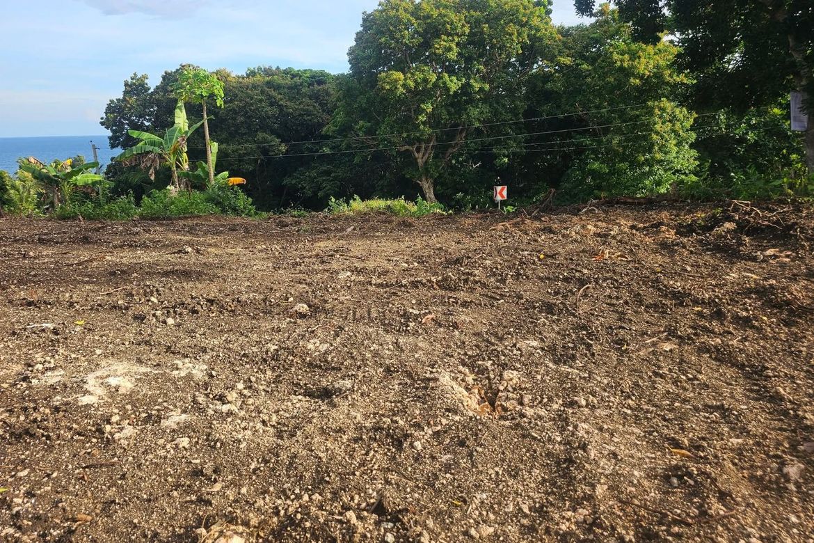 Land for Sale in Cabantian, Guindulman, Bohol – photo 2