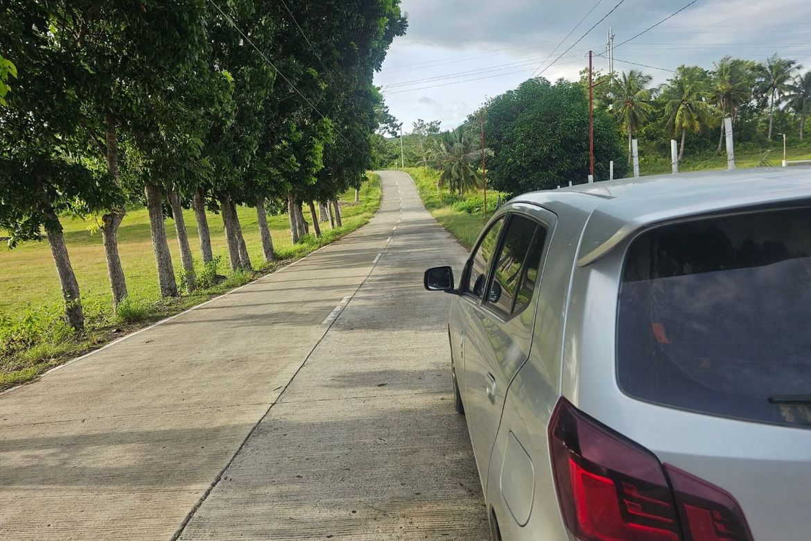 Land for Sale in Cabantian, Guindulman, Bohol – photo 5