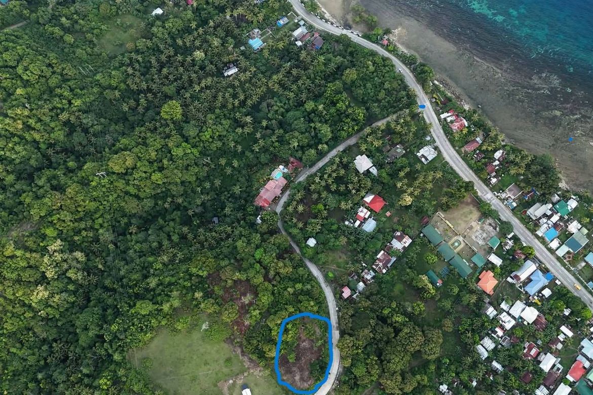 Land for Sale in Cabantian, Guindulman, Bohol – photo 8