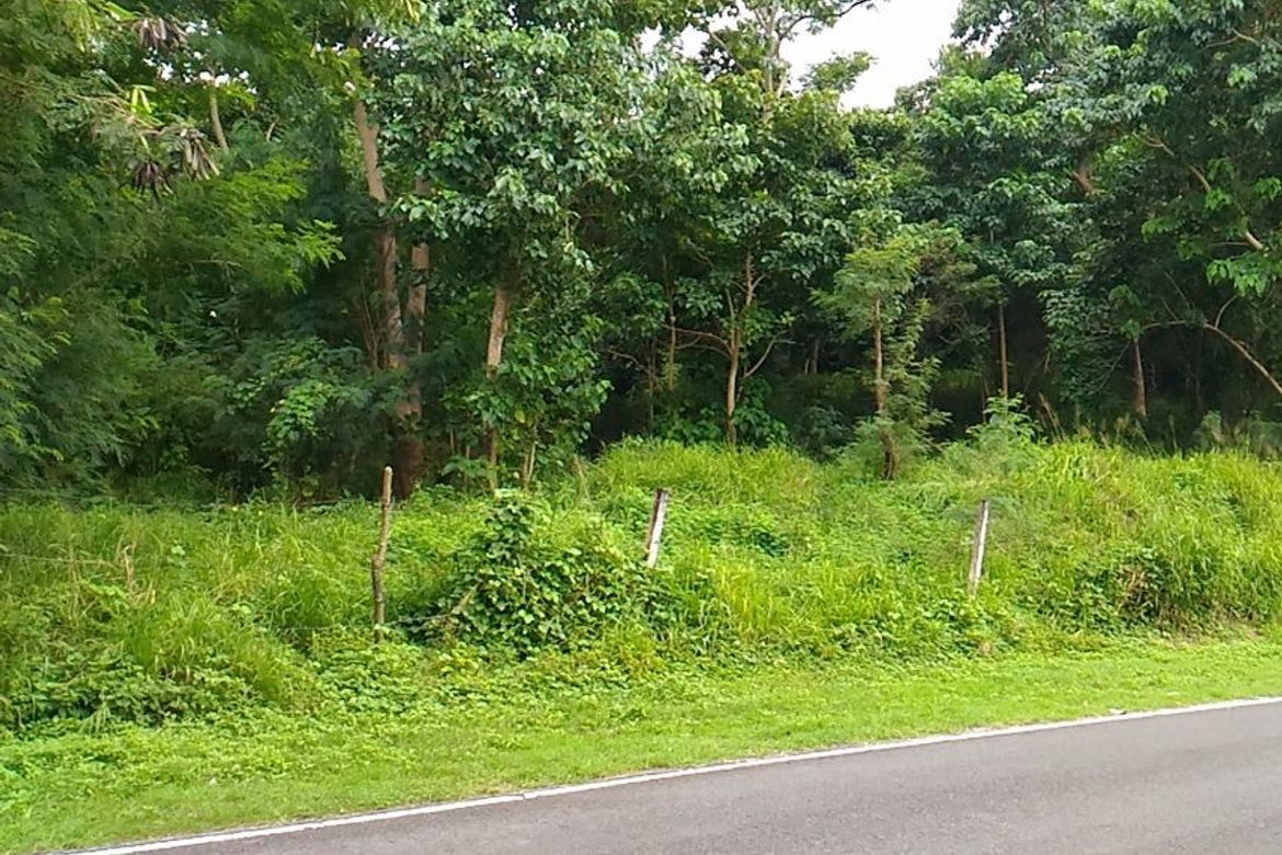 Land for Sale in Cabasag, Del Gallego, Camarines Sur