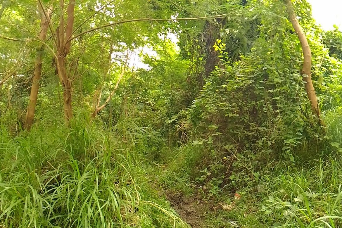 Land for Sale in Cabasag, Del Gallego, Camarines Sur – photo 3