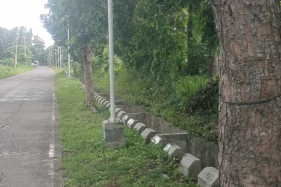 Land for Sale in Cabay, Tiaong, Quezon