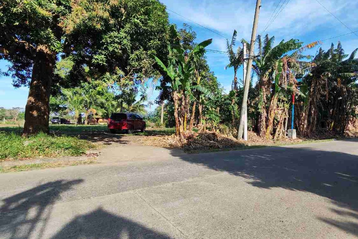 Land for Sale in Cabay, Tiaong, Quezon – photo 3