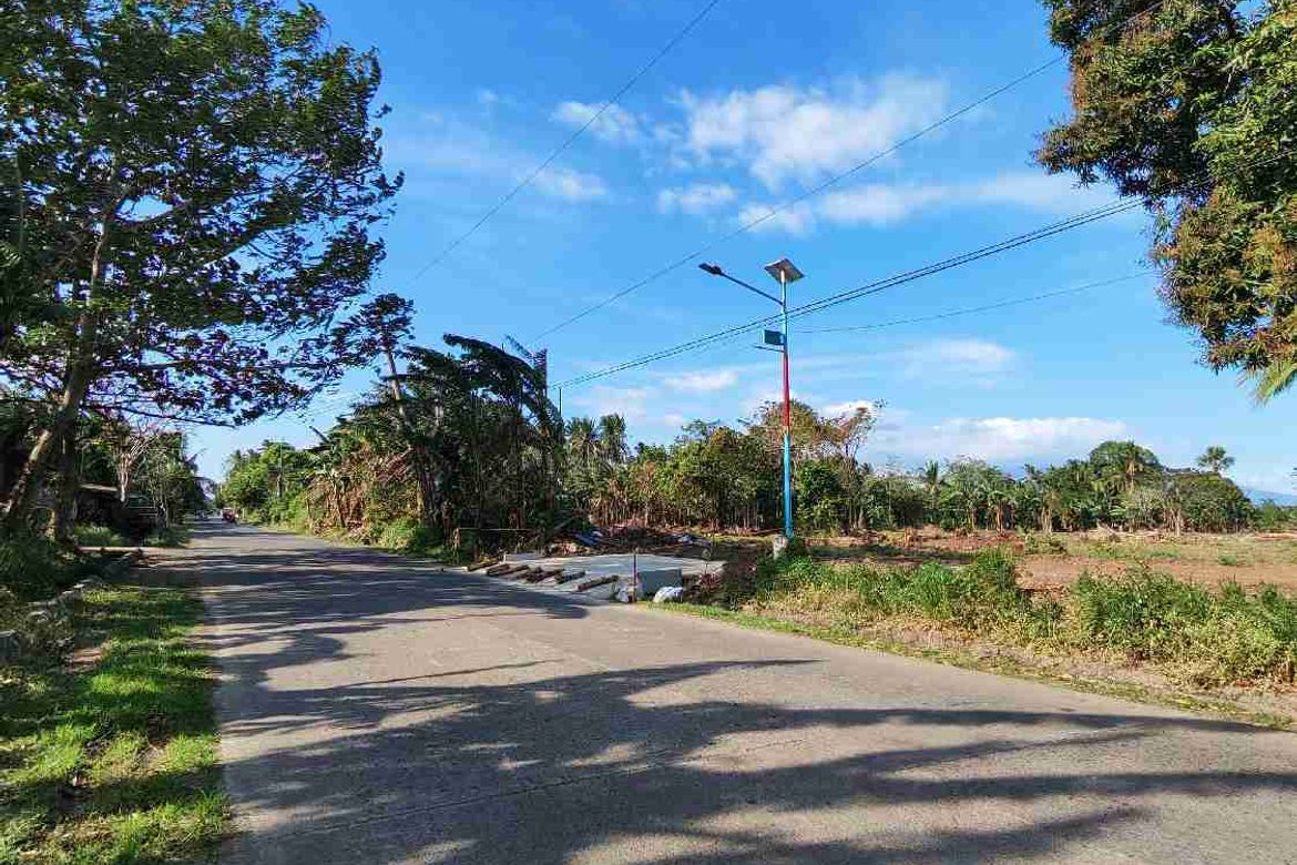 Land for Sale in Cabay, Tiaong, Quezon – photo 4
