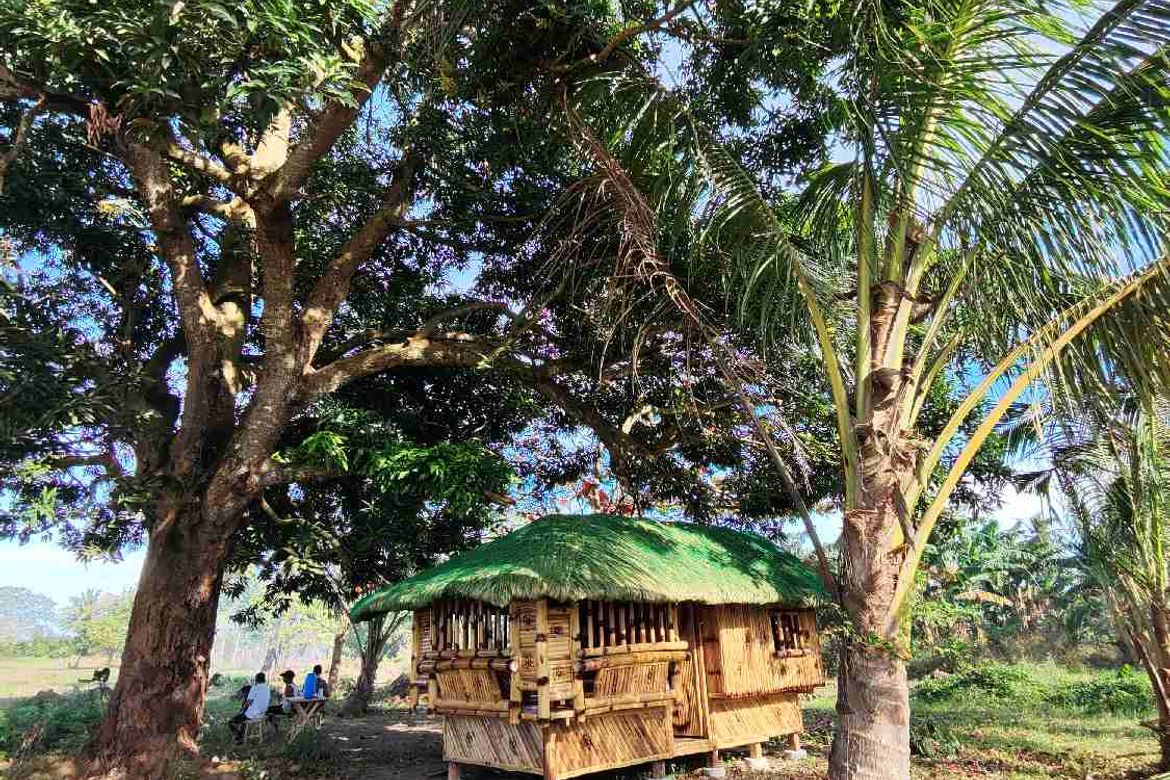 Land for Sale in Cabay, Tiaong, Quezon – photo 6