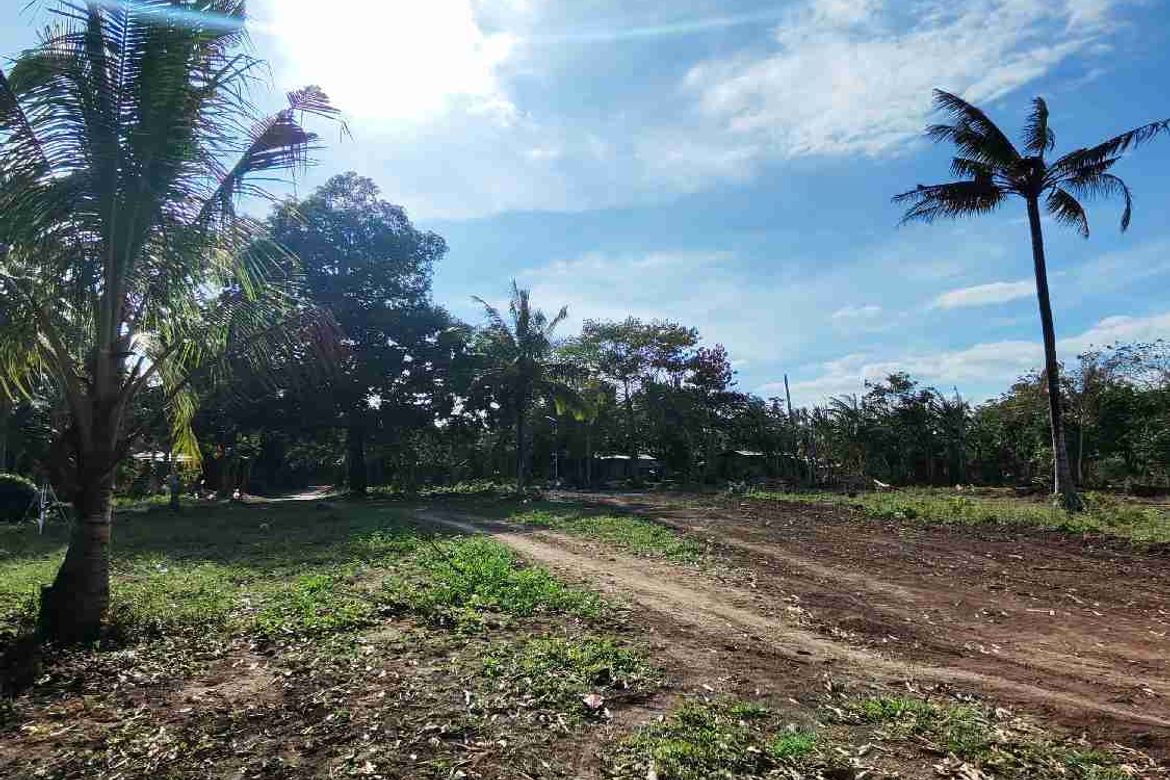 Land for Sale in Cabay, Tiaong, Quezon – photo 7