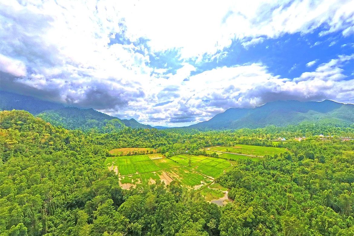 Land for Sale in Cabayugan, Puerto Princesa, Palawan – photo 2