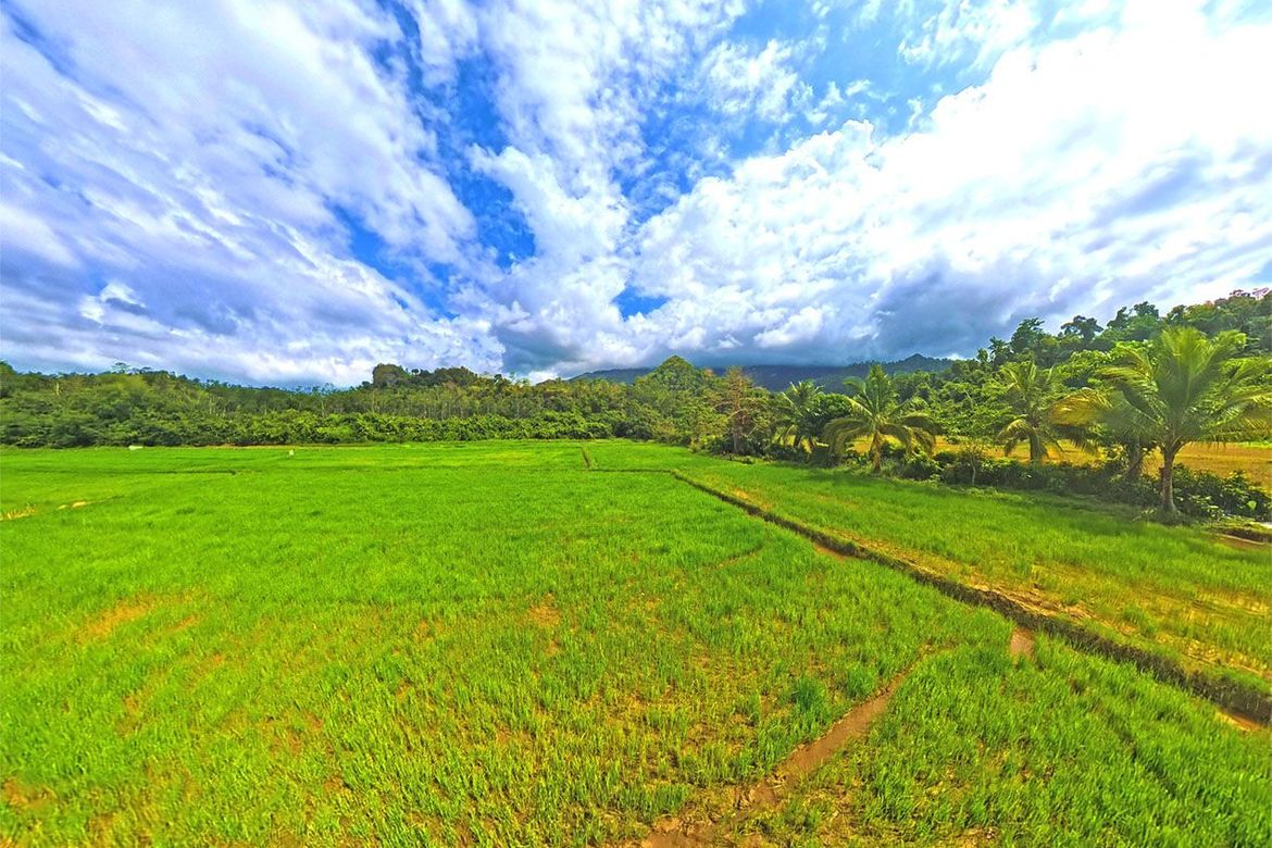Land for Sale in Cabayugan, Puerto Princesa, Palawan – photo 3