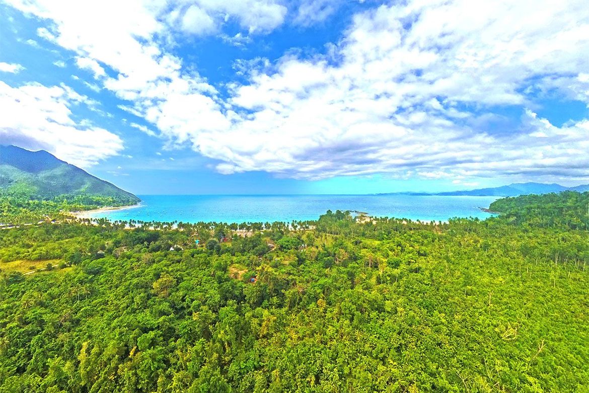 Land for Sale in Cabayugan, Puerto Princesa, Palawan – photo 4
