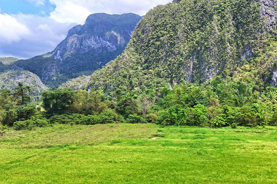 Land for Sale in Cabayugan, Puerto Princesa, Palawan – photo 8