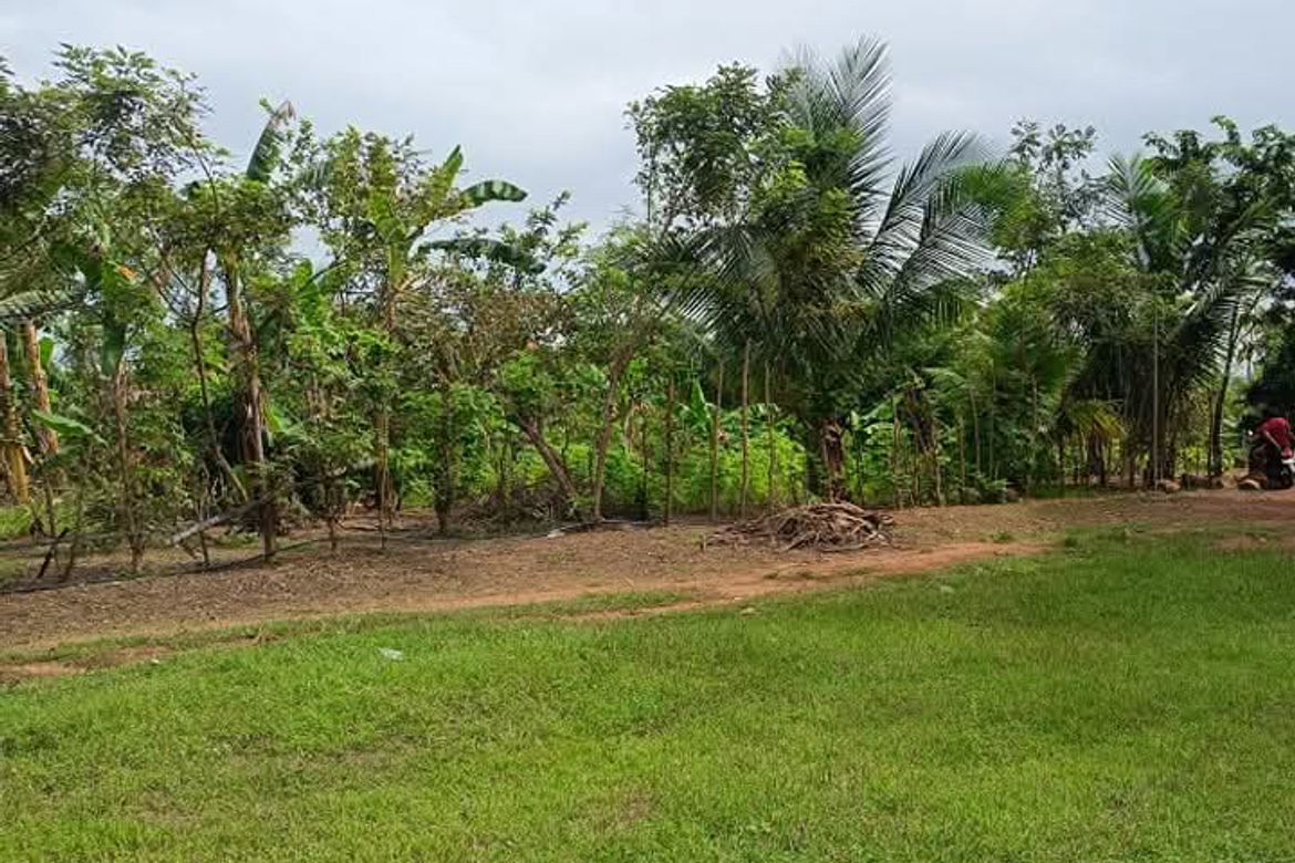 Land for Sale in Cabcaben, Mariveles, Bataan – photo 3