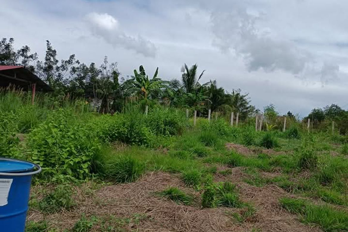 Land for Sale in Cabcaben, Mariveles, Bataan – photo 4