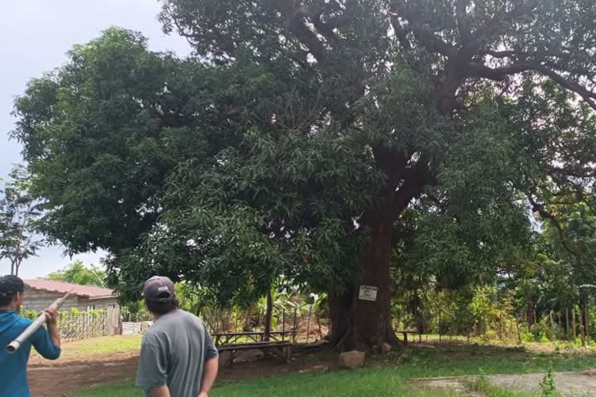 Land for Sale in Cabcaben, Mariveles, Bataan – photo 7
