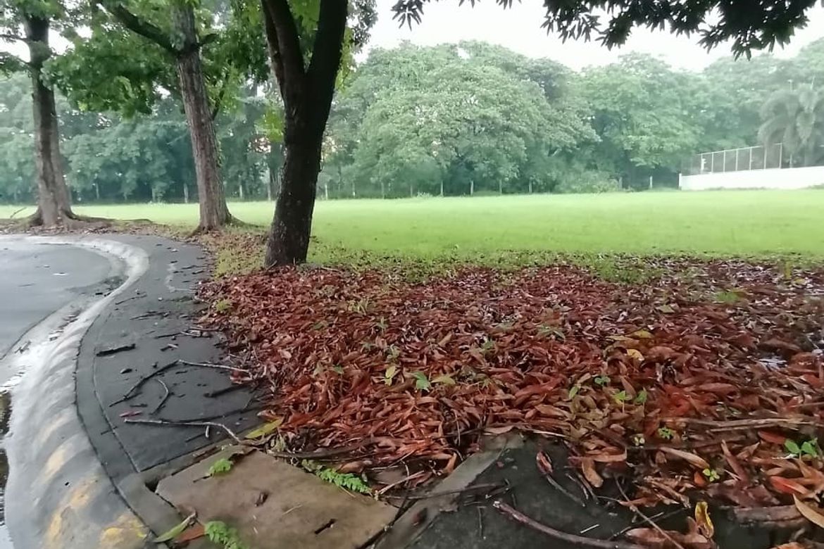 Land for Sale in Cabilang Baybay, Carmona, Cavite – photo 3
