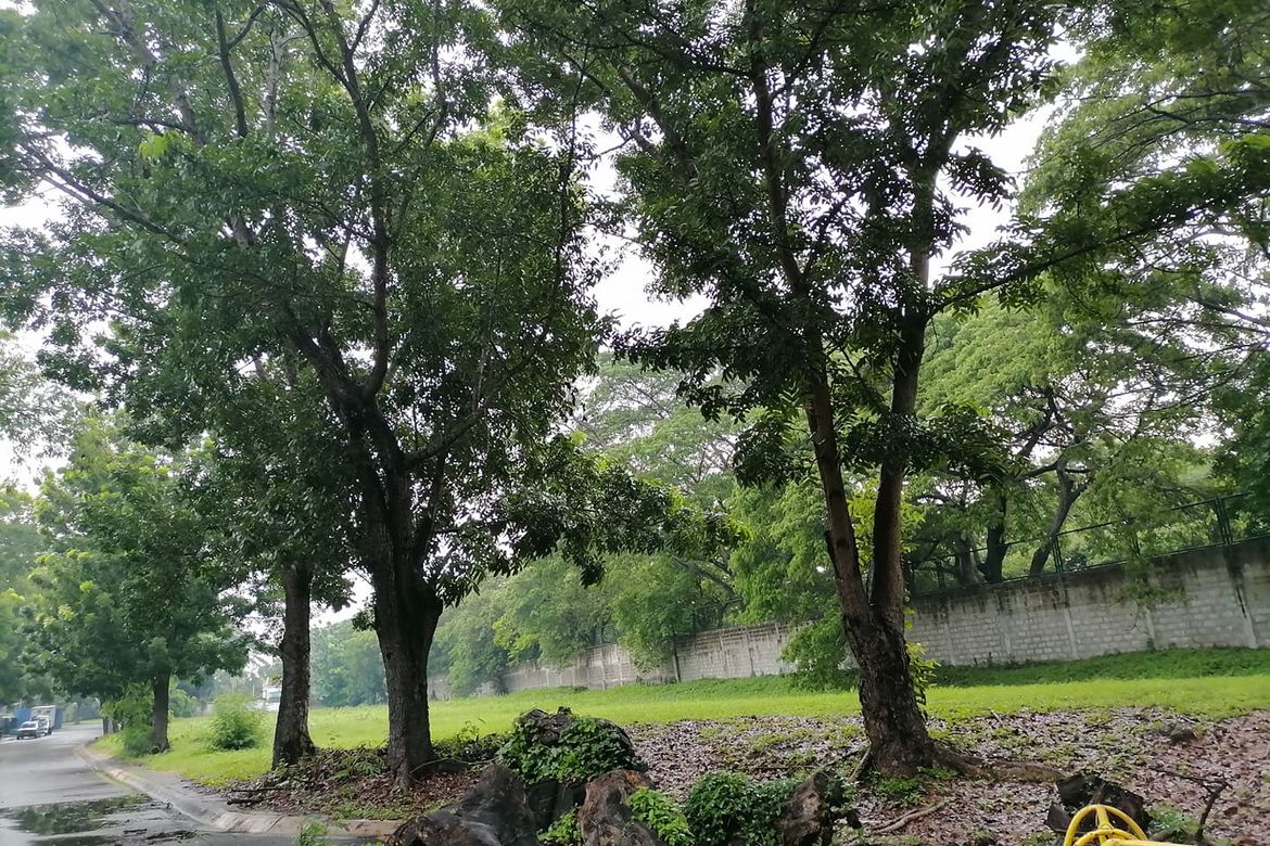 Land for Sale in Cabilang Baybay, Carmona, Cavite – photo 4