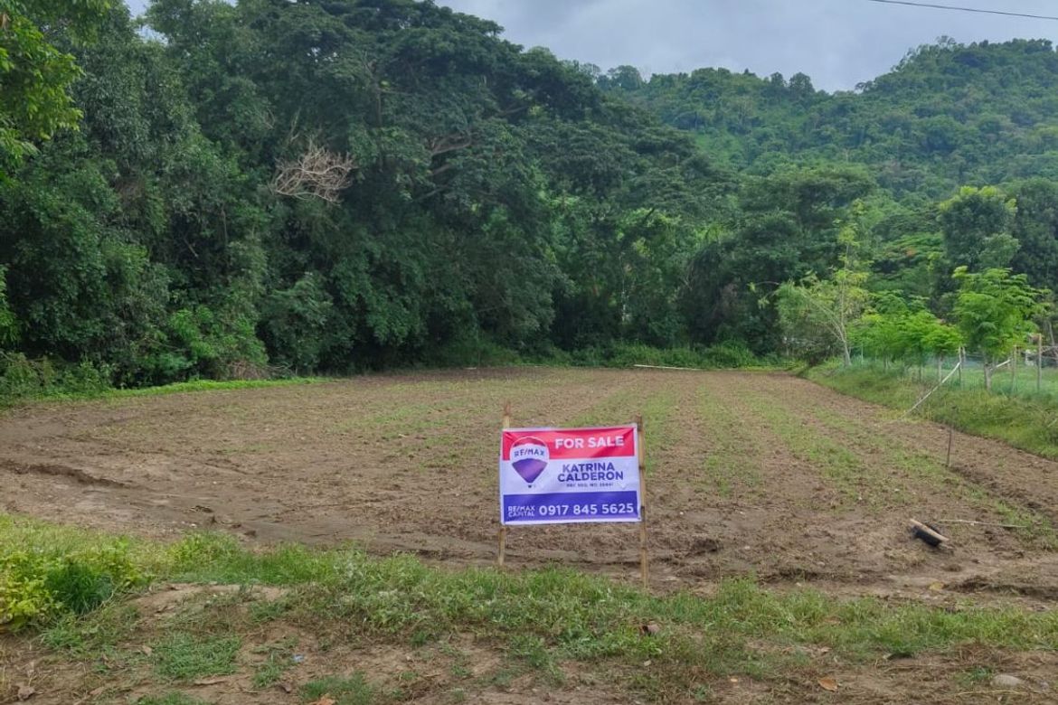 Land for Sale in Cabisilan, Bauang, La Union