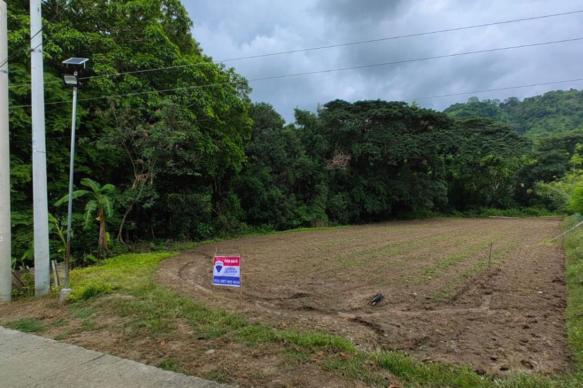Land for Sale in Cabisilan, Bauang, La Union – photo 4