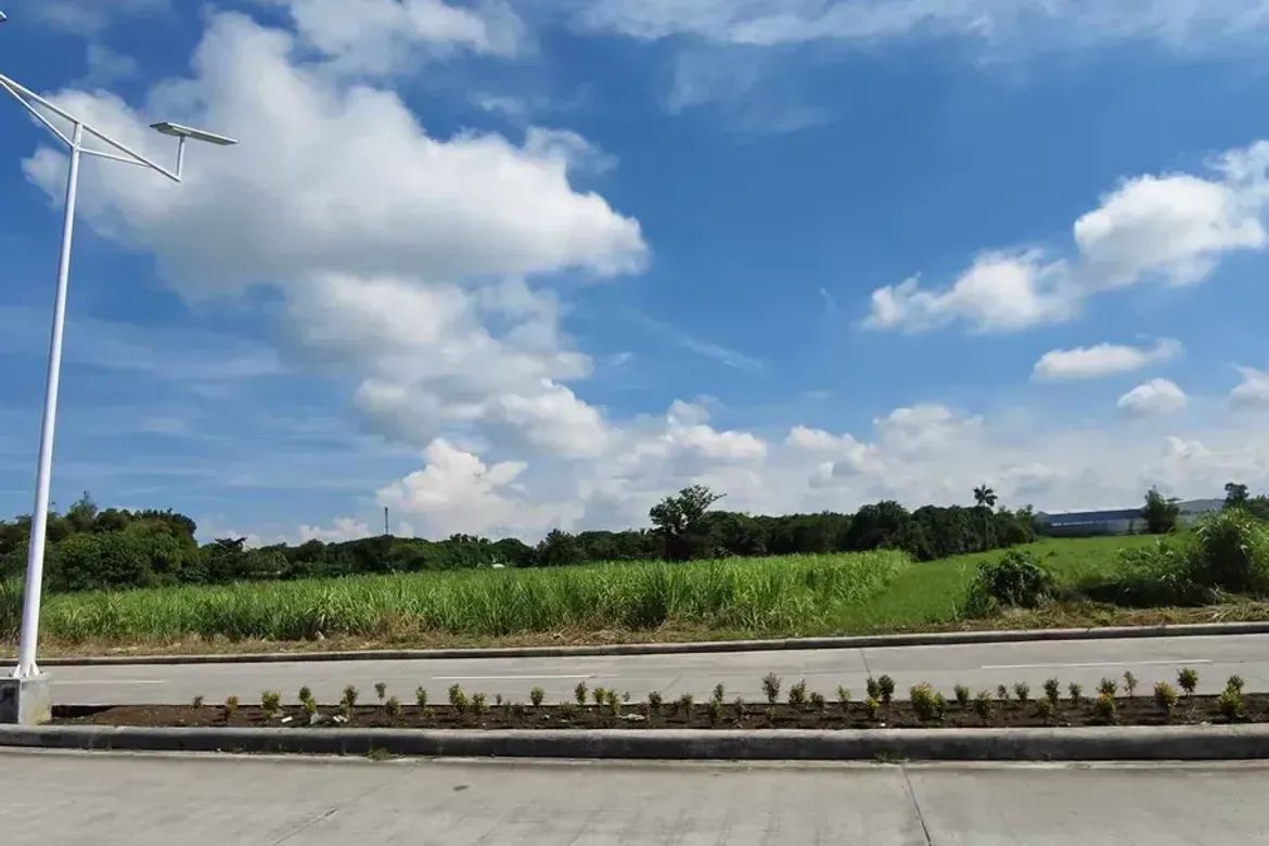 Land for Sale in Cabug, Bacolod, Negros Occidental – photo 3