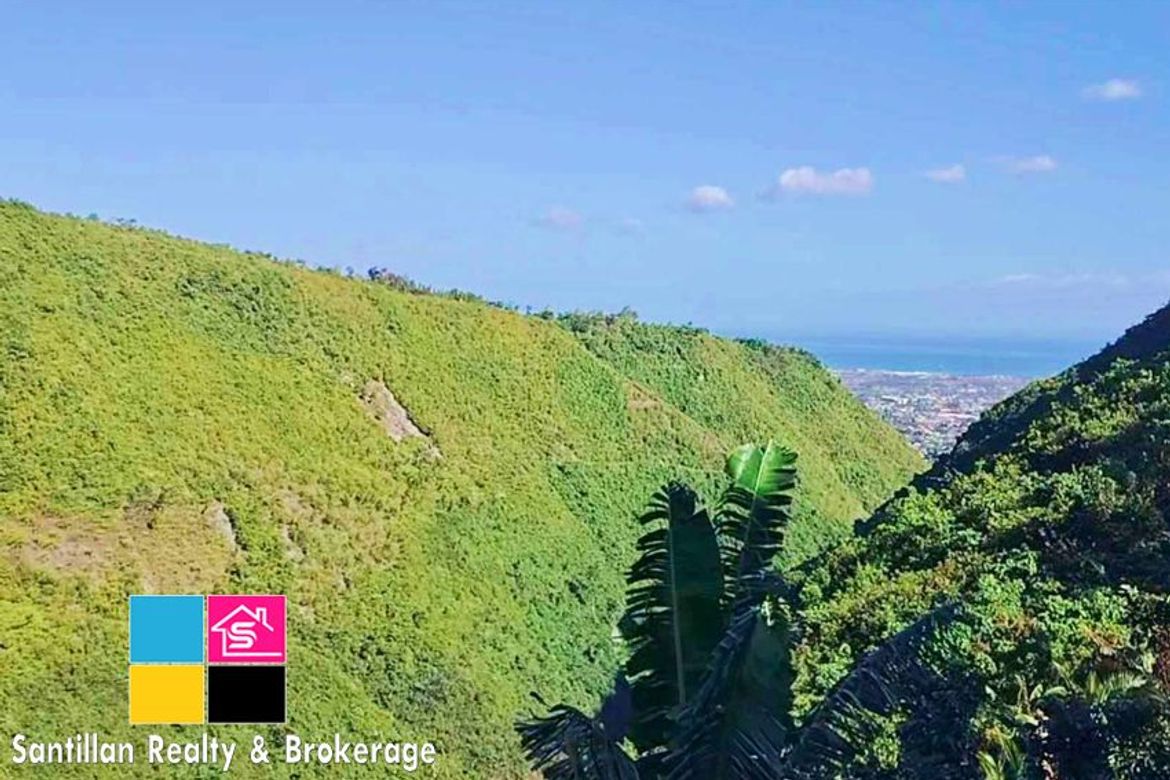 Land for Sale in Cadulawan, Talisay, Cebu