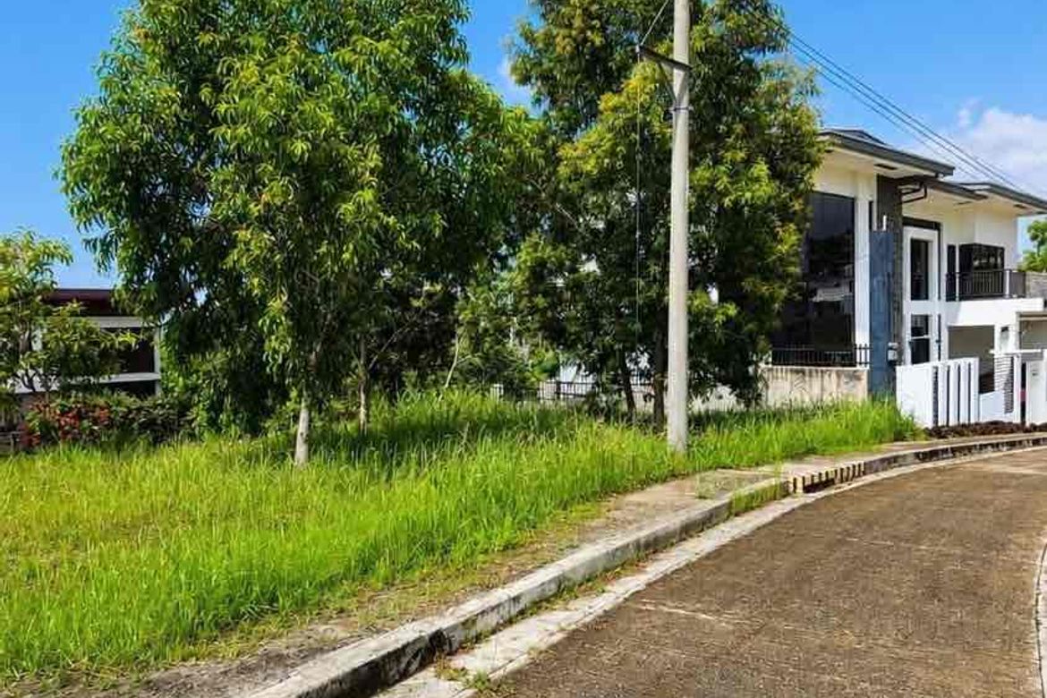 Land for Sale in Cadulawan, Talisay, Cebu – photo 4