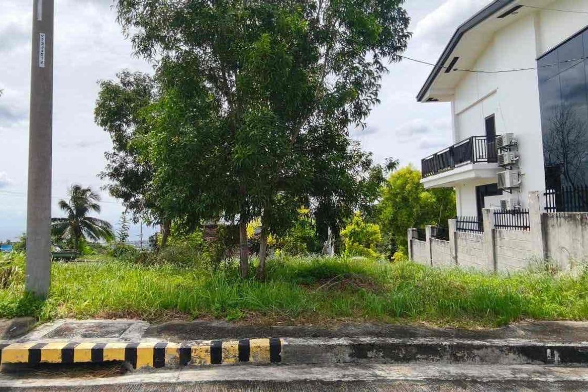 Land for Sale in Cadulawan, Talisay, Cebu – photo 7