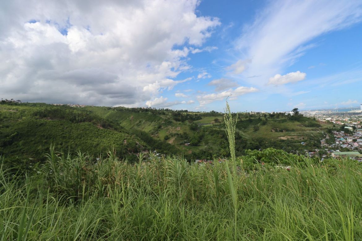Land for Sale in Cadulawan, Talisay, Cebu – photo 2