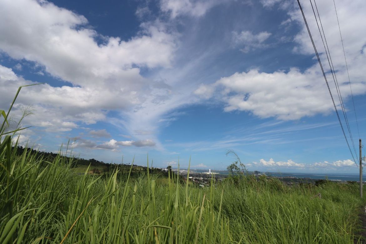 Land for Sale in Cadulawan, Talisay, Cebu – photo 3