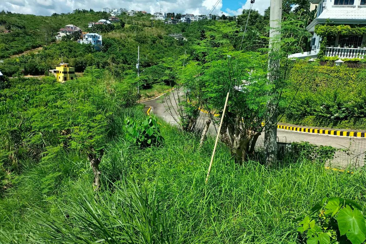Land for Sale in Cadulawan, Talisay, Cebu – photo 4