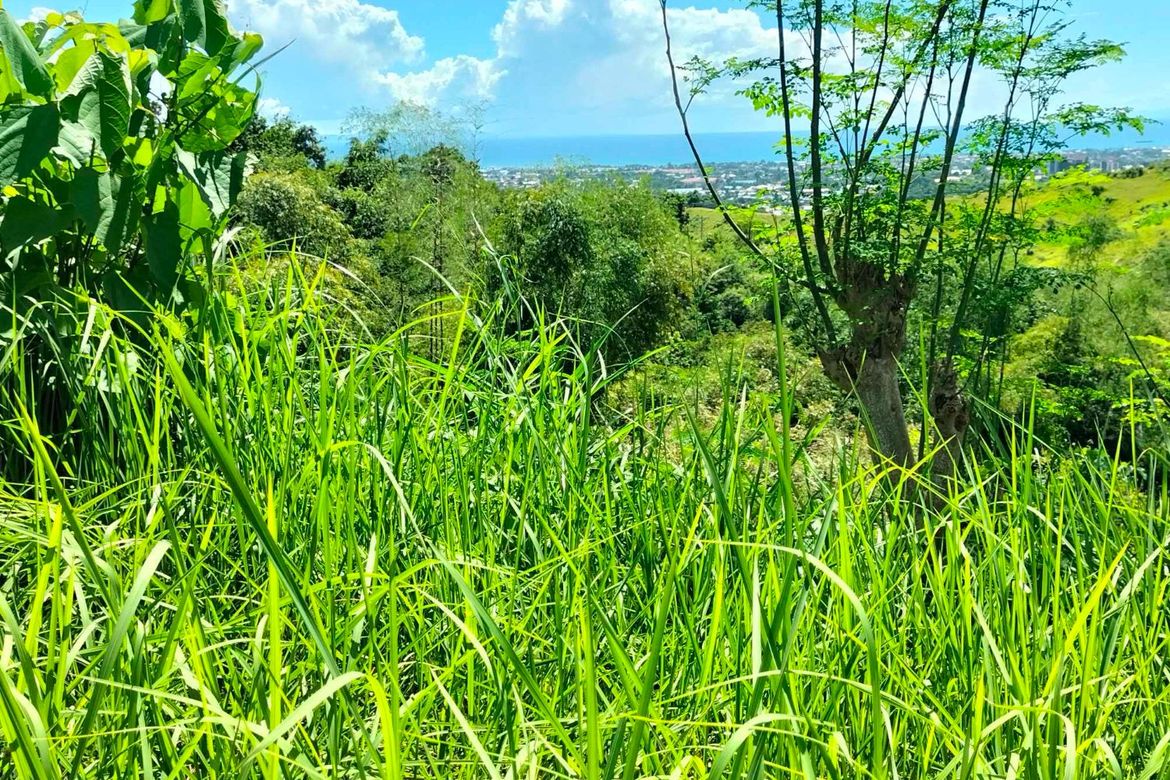 Land for Sale in Cadulawan, Talisay, Cebu – photo 5