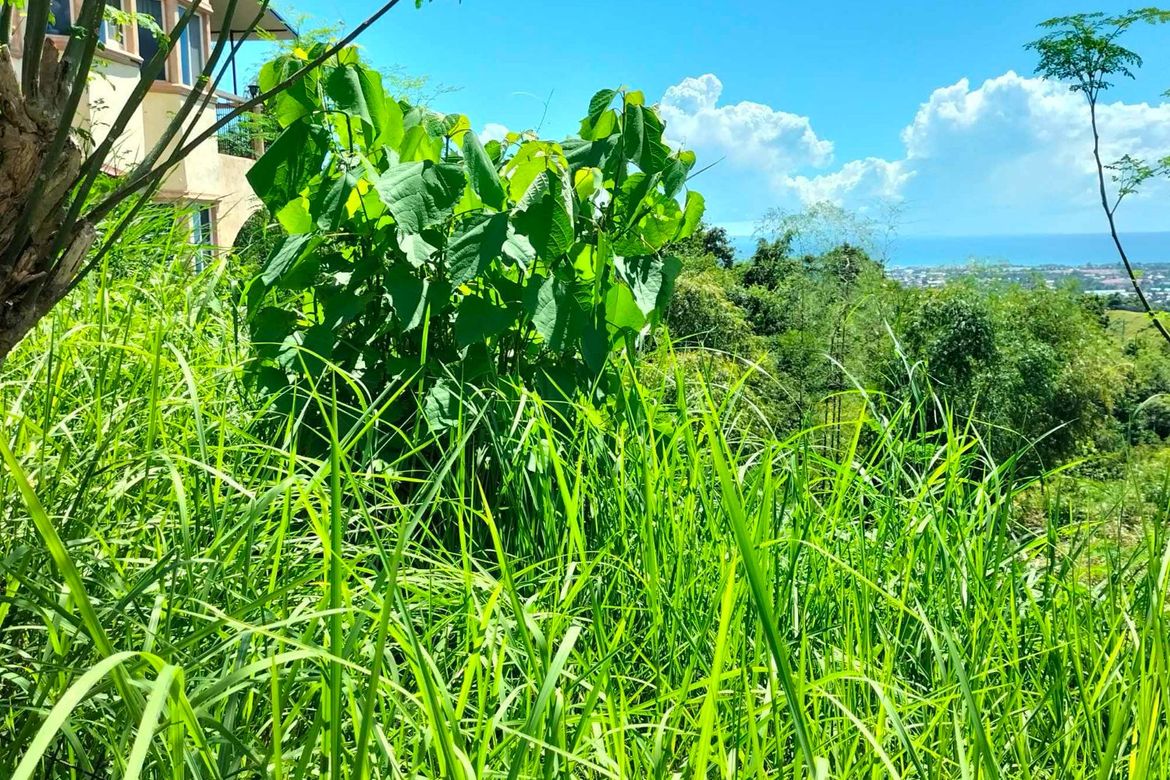 Land for Sale in Cadulawan, Talisay, Cebu – photo 8