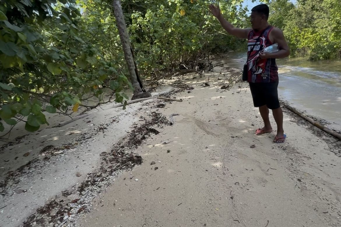 Land for Sale in Cagbalete I, Mauban, Quezon – photo 3