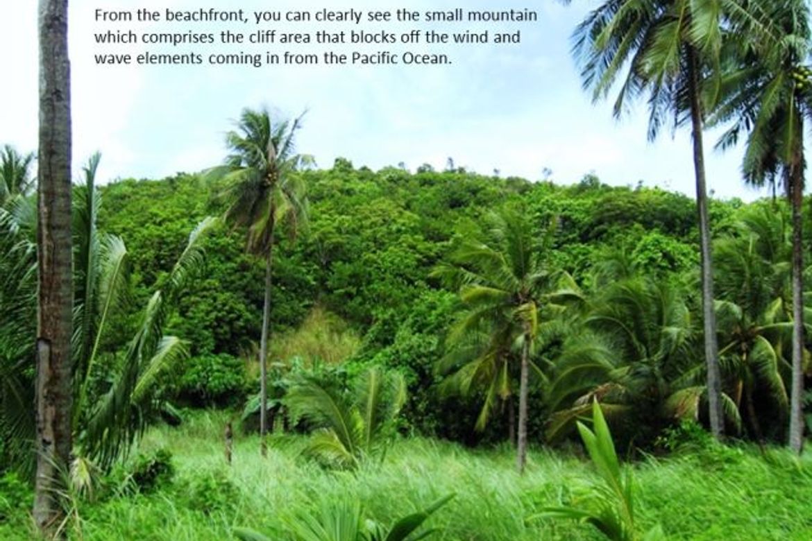 Land for Sale in Cagbalogo, Vinzons, Camarines Norte – photo 5