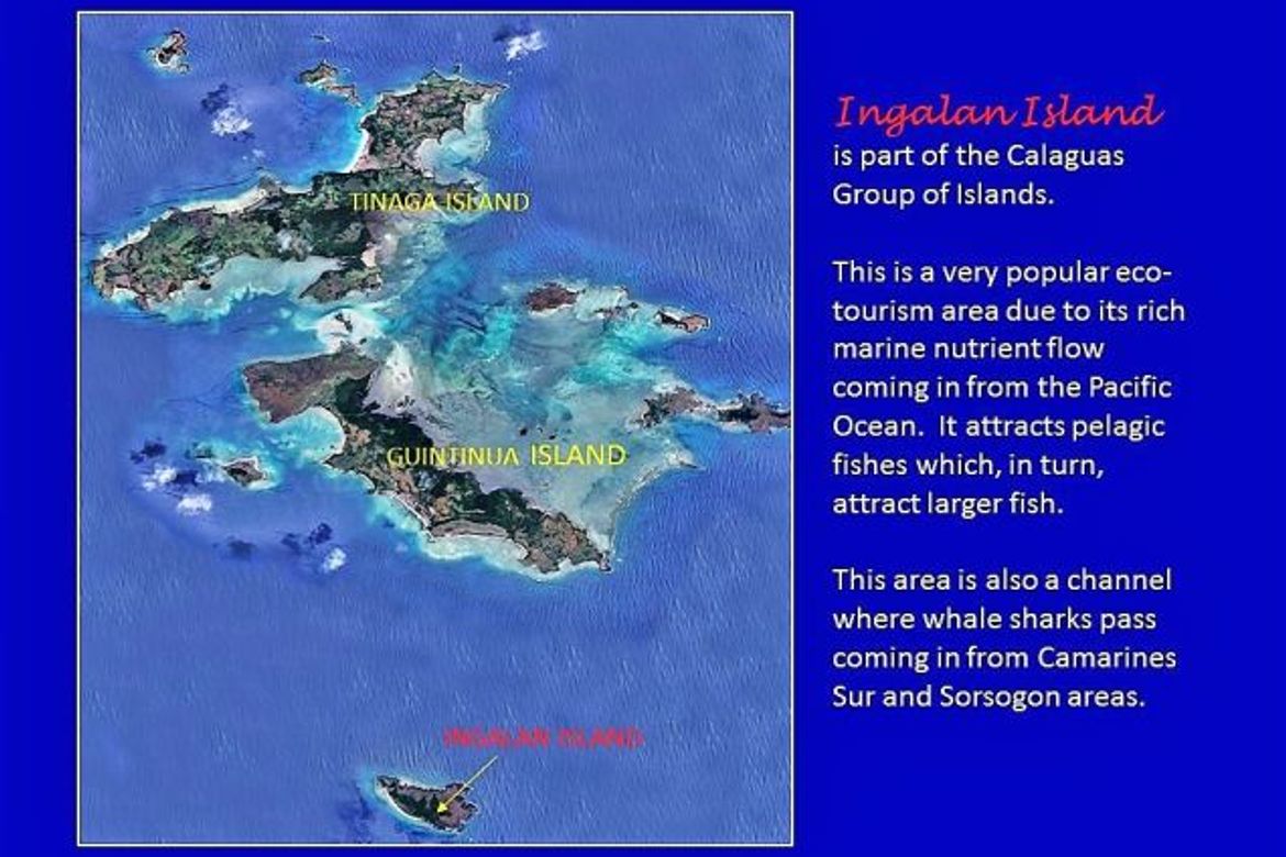 Land for Sale in Cagbalogo, Vinzons, Camarines Norte – photo 6